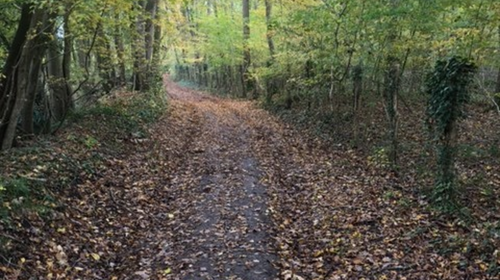 Les chemins de randonnées