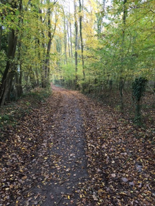 Les chemins de randonnées